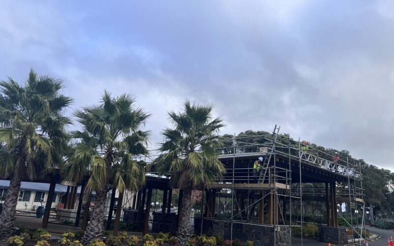 Roof Painting & Repairs